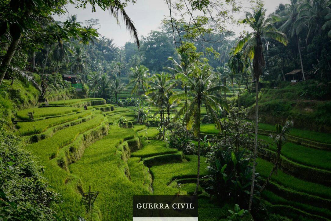 Vajar a Bali: ¿Qué ver y qué hacer?