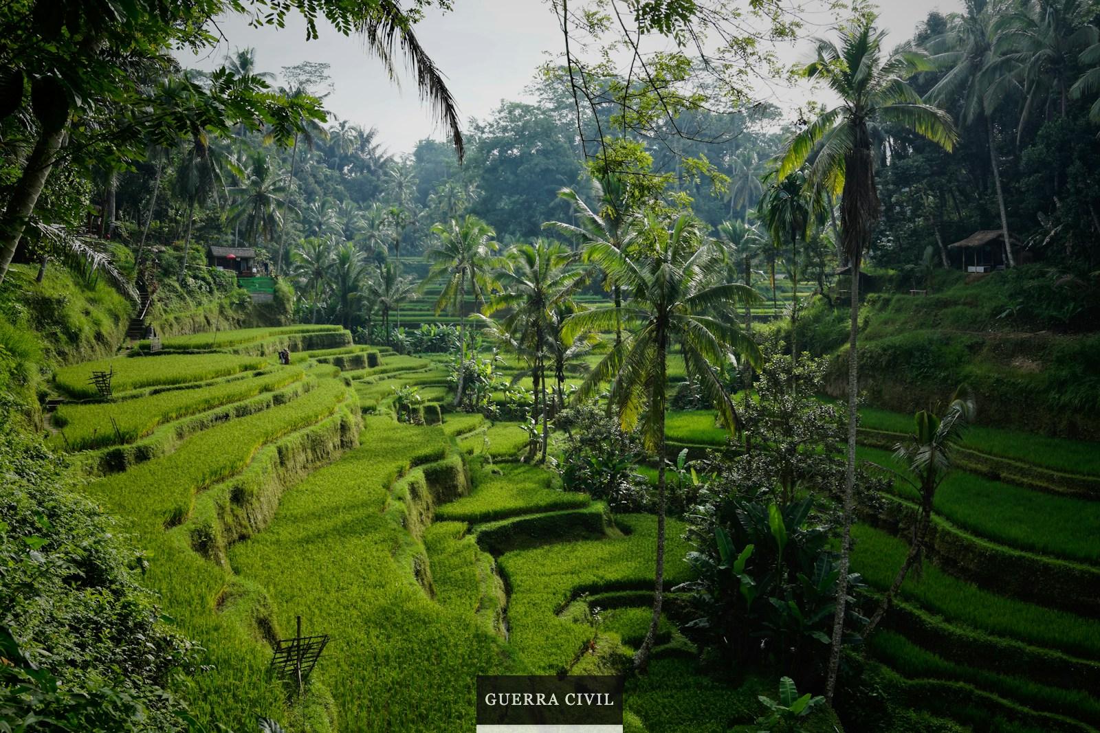 Vajar a Bali: ¿Qué ver y qué hacer?