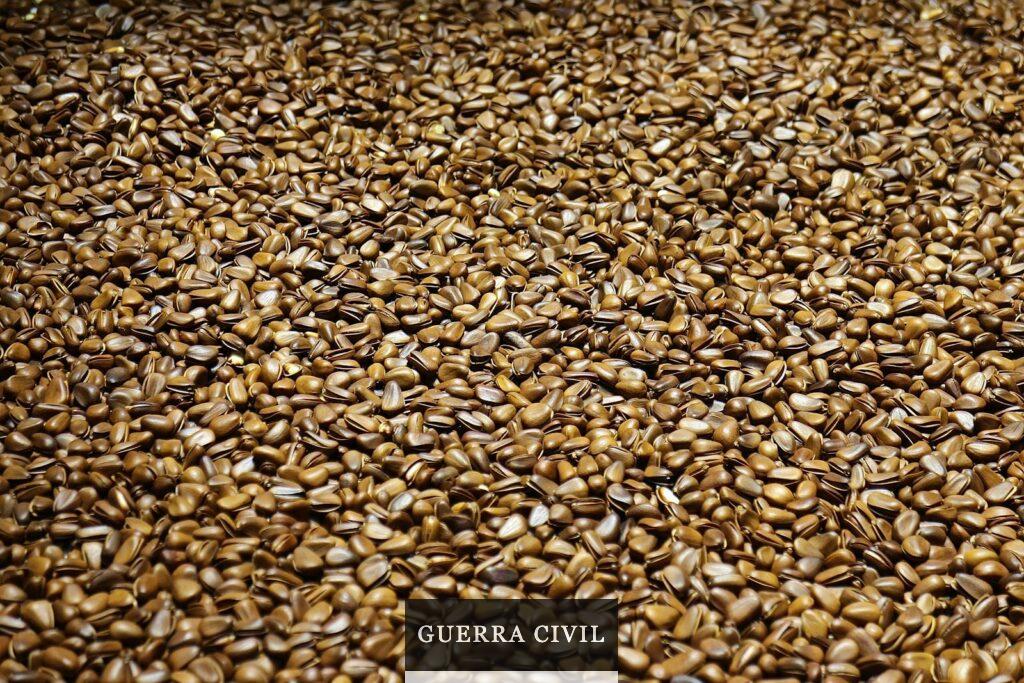 flax oil